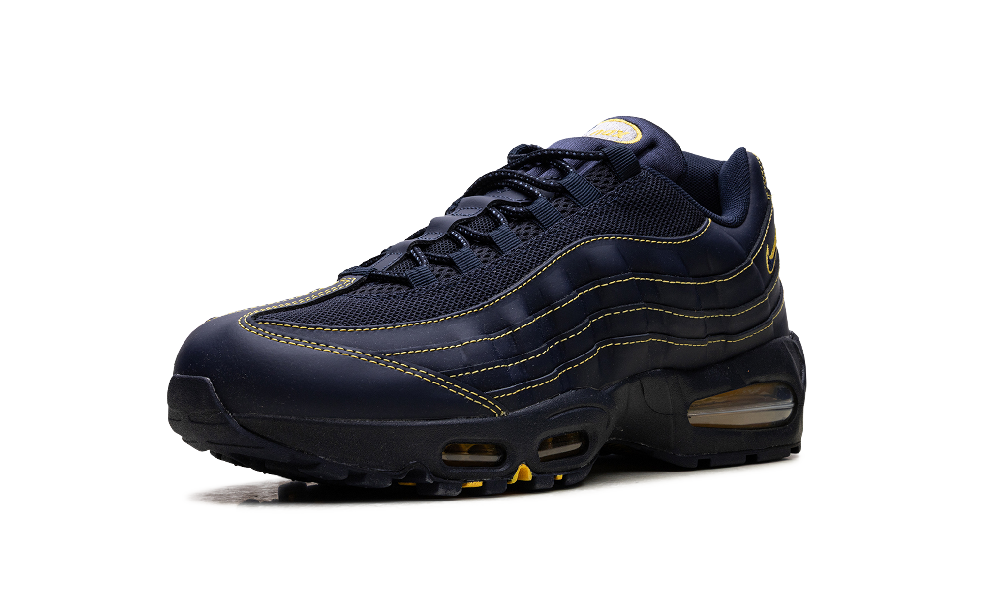 Air Max 95 "Michigan" IB7936 400